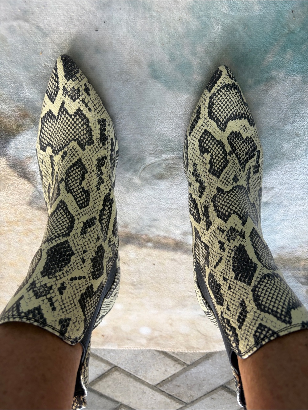 Calvin Klein Snake Print Pointed Toe Heeled Boots in Black and Cream